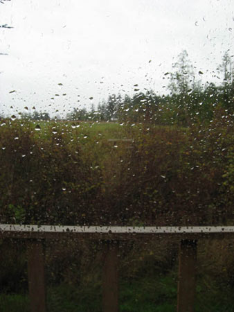 Late November-rain Late November-rain